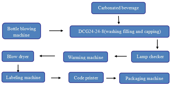 Automatic 5000bph 500ml Bottle Beverage Filling Machine Manufacturers filling and packing system