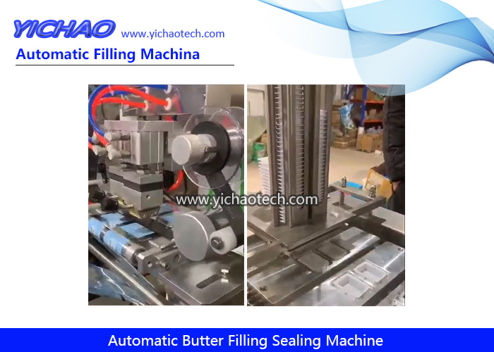 Automatic Butter Cup Sauce/Chilli/Pepper/Liquid Filling Forming Sealing Wrapping Packaging Machine